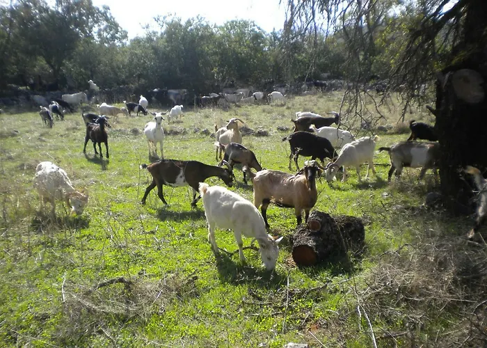 Nyaraló Stone House In A Quiet Landscape,